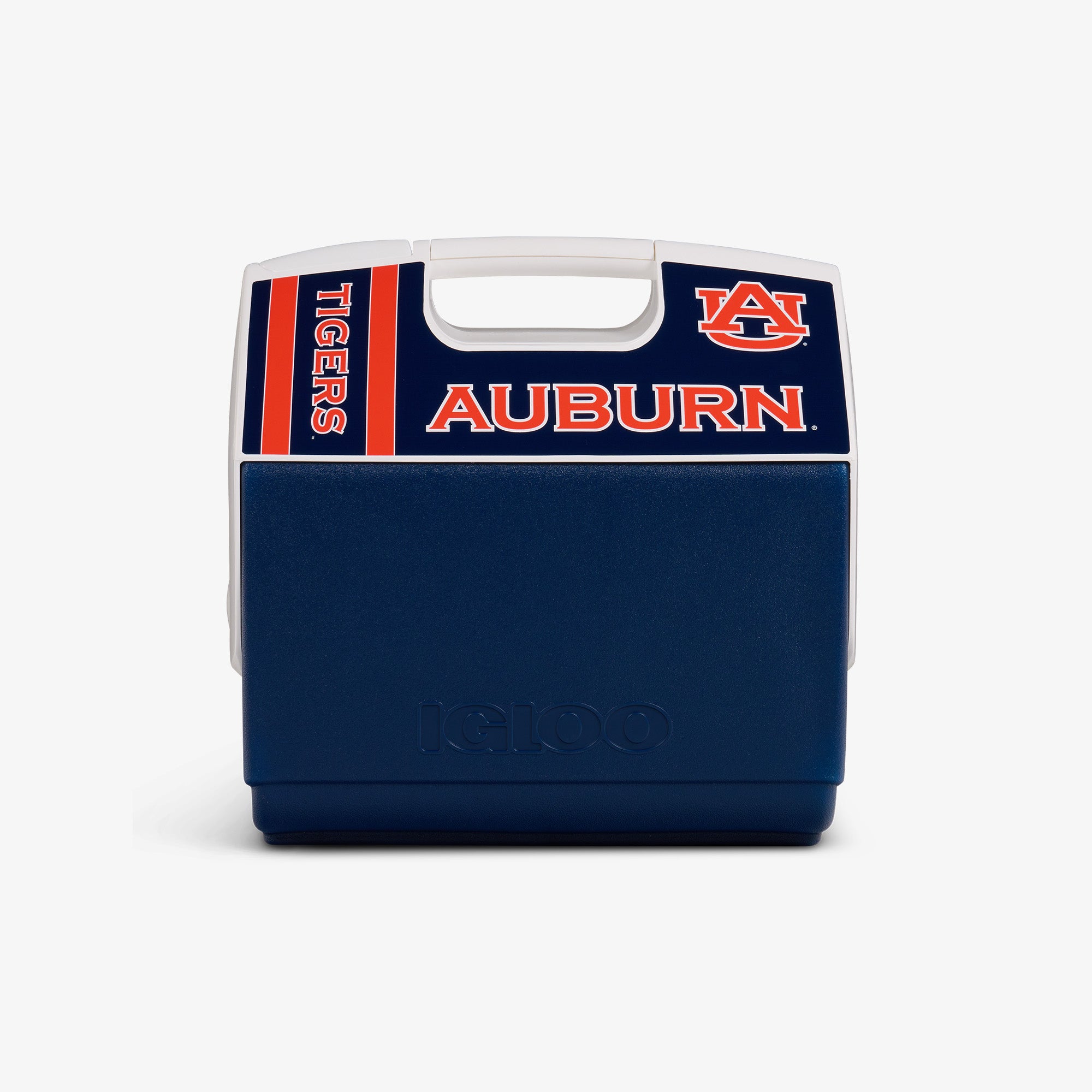 00027678-F.jpg