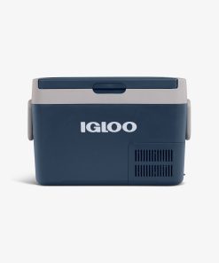 ICF 32